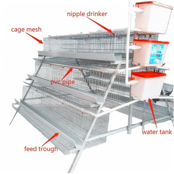 Benefits of Using an A Type Chicken Cage
